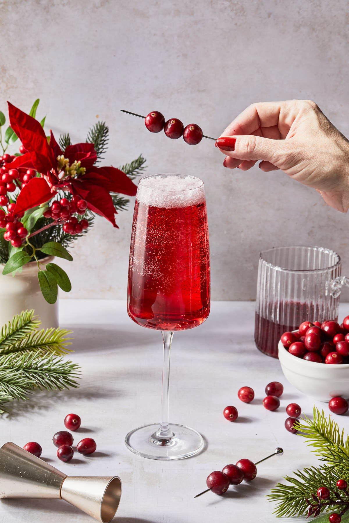 A skewer of fresh cranberries being placed as garnish on top of a cranberry mimosa in a champagne flute. 